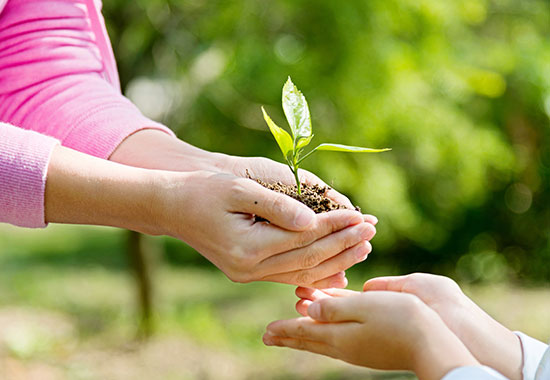 環(huán)保優(yōu)勢