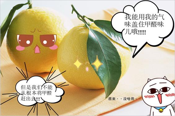 這些新房入住注意事項你都知道嗎？