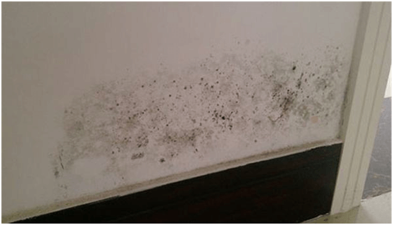 防水≠防潮,你分清楚了嗎？