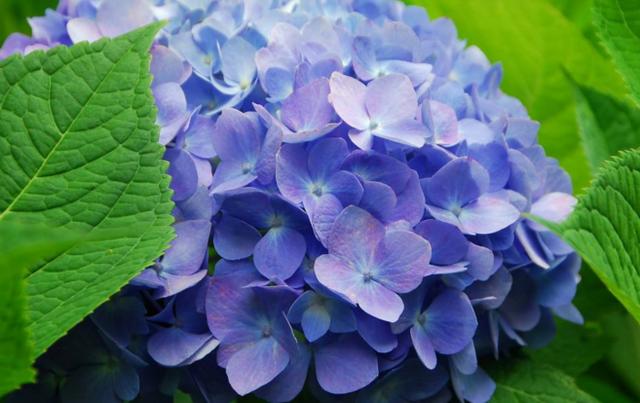 人間四月，揭秘家居空間“春之色”