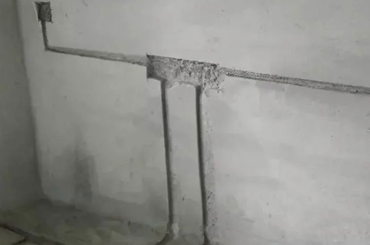 微信圖片_20220511161754